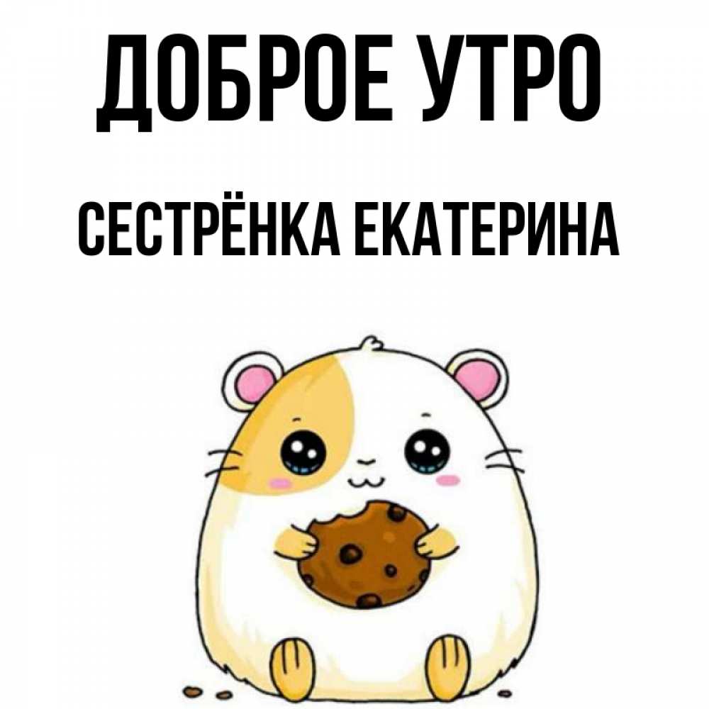 Открытка на каждый день с именем, Сестрёнка-Екатерина Доброе утро есть печеньку. Утречко Прикольная открытка с пожеланием онлайн скачать бесплатно 