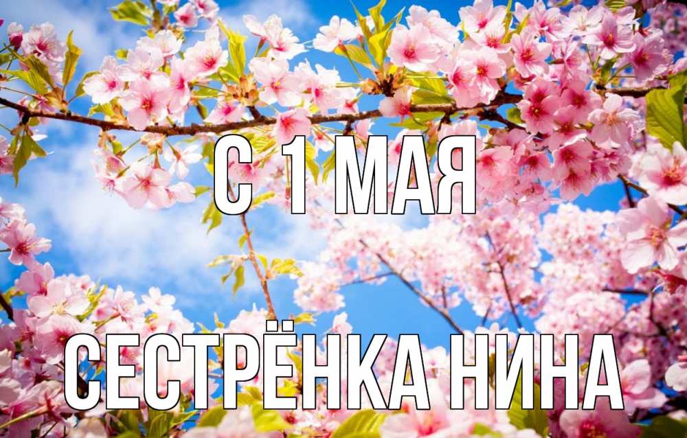 Открытка на каждый день с именем, Сестрёнка-Нина С 1 мая С 1 мая Прикольная открытка с пожеланием онлайн скачать бесплатно 