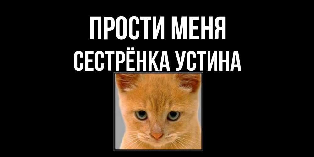 Открытка на каждый день с именем, Сестрёнка-Устина Прости меня рыжий грустный кот просит прощения Прикольная открытка с пожеланием онлайн скачать бесплатно 