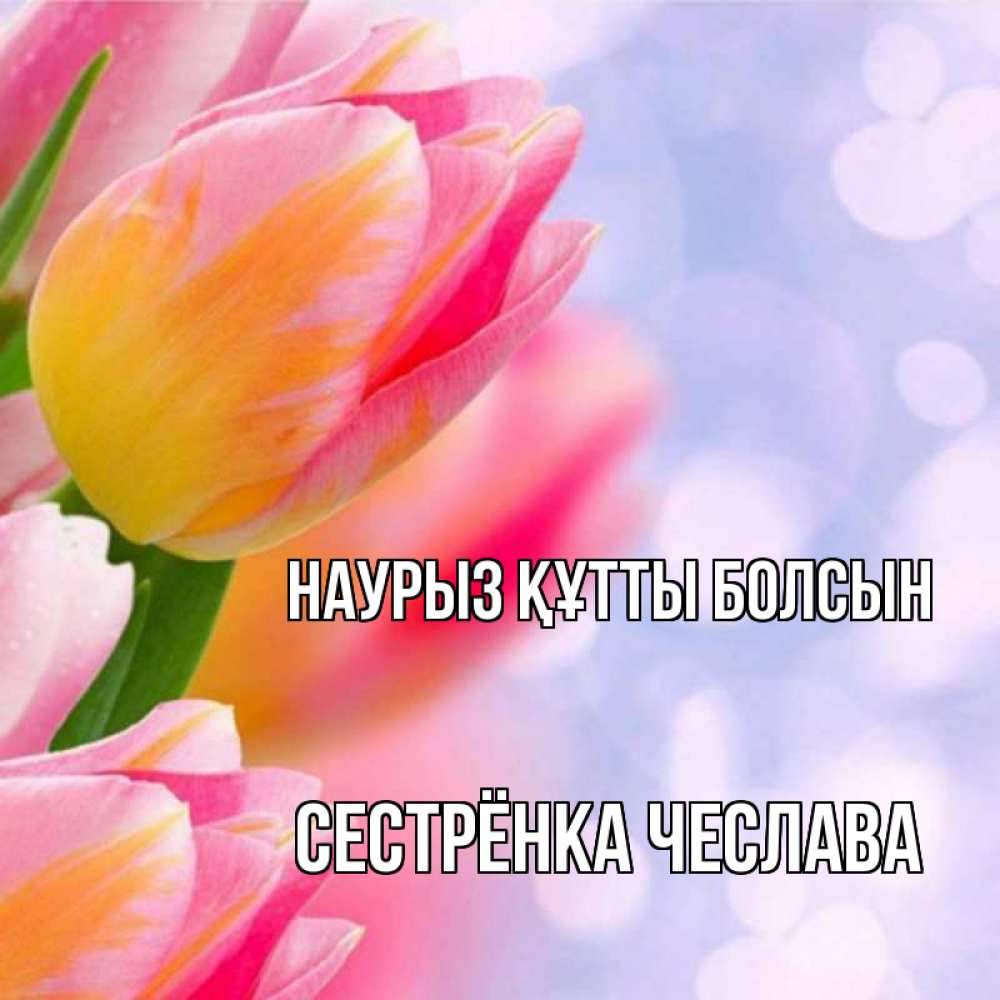 Открытка на каждый день с именем, Сестрёнка-Чеслава Наурыз құтты болсын тюльпаны 2 Прикольная открытка с пожеланием онлайн скачать бесплатно 