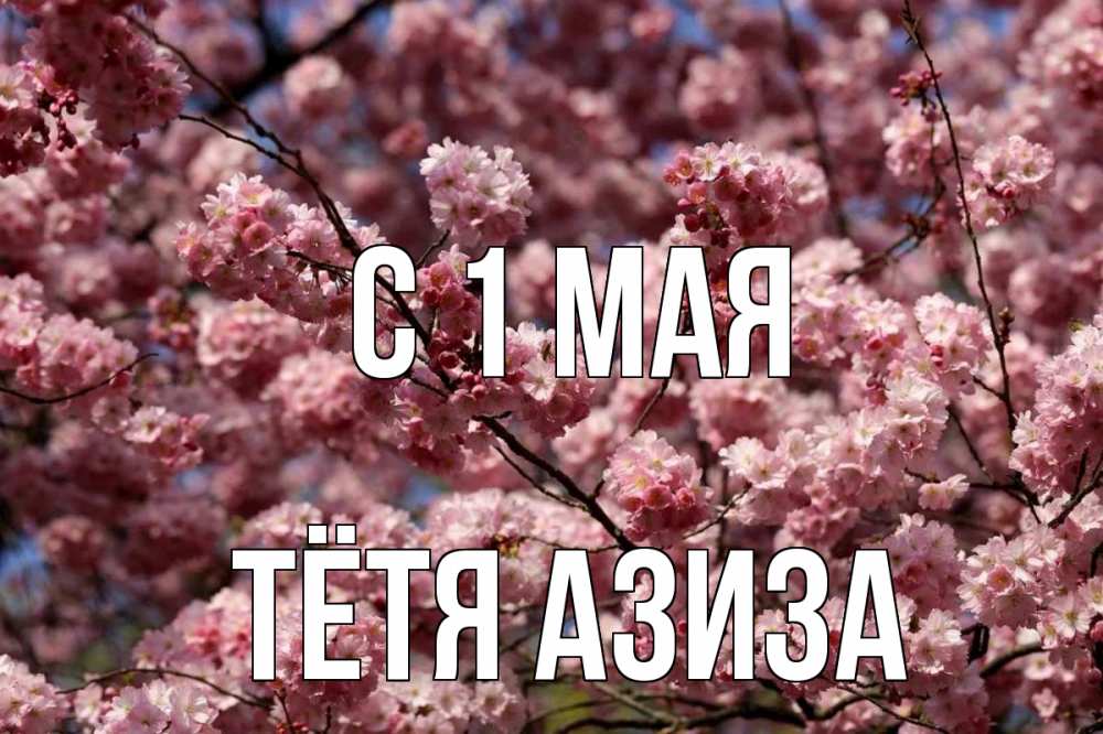 Открытка на каждый день с именем, Тётя-Азиза С 1 мая С 1 мая Прикольная открытка с пожеланием онлайн скачать бесплатно 