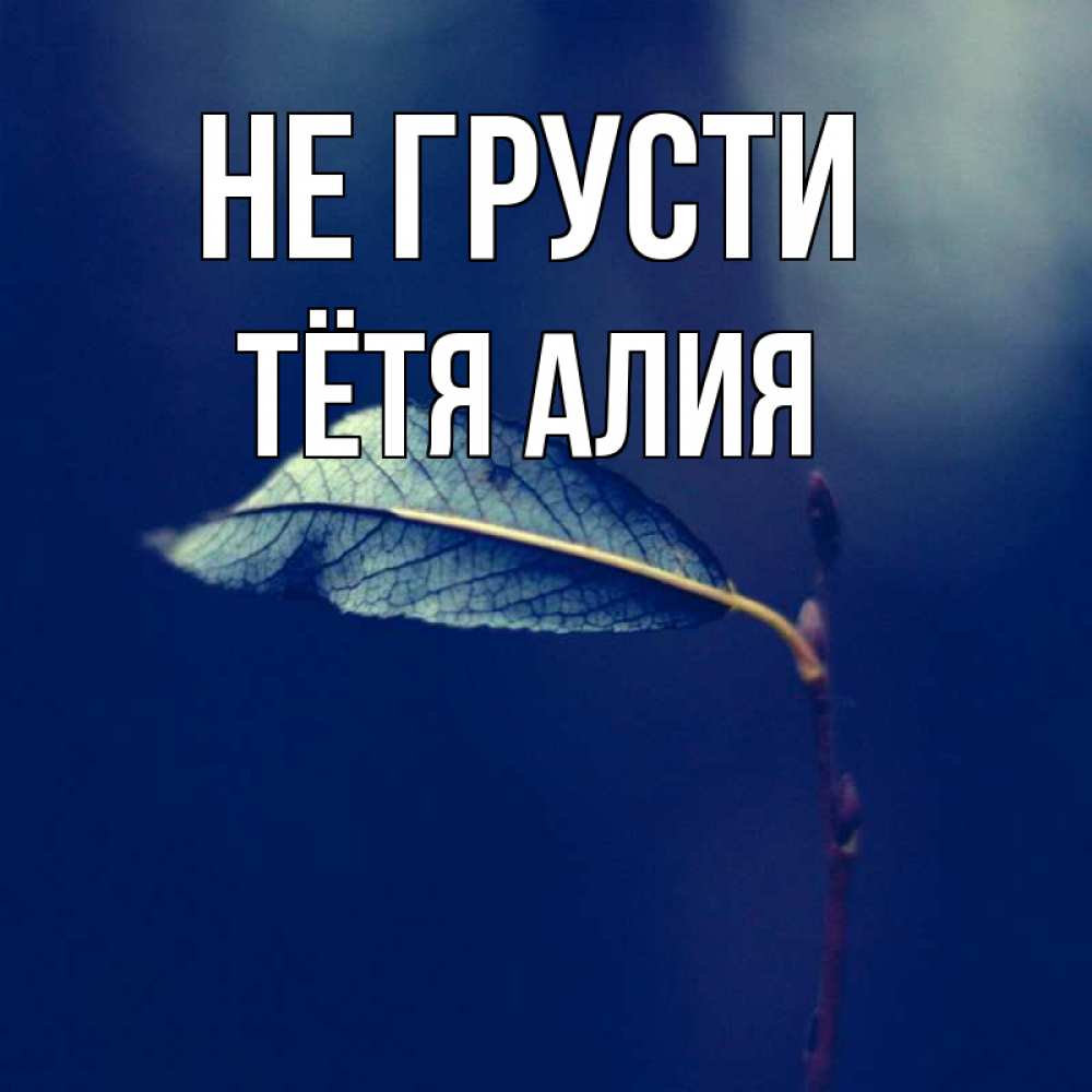 Открытка на каждый день с именем, Тётя-Алия Не грусти растение Прикольная открытка с пожеланием онлайн скачать бесплатно 