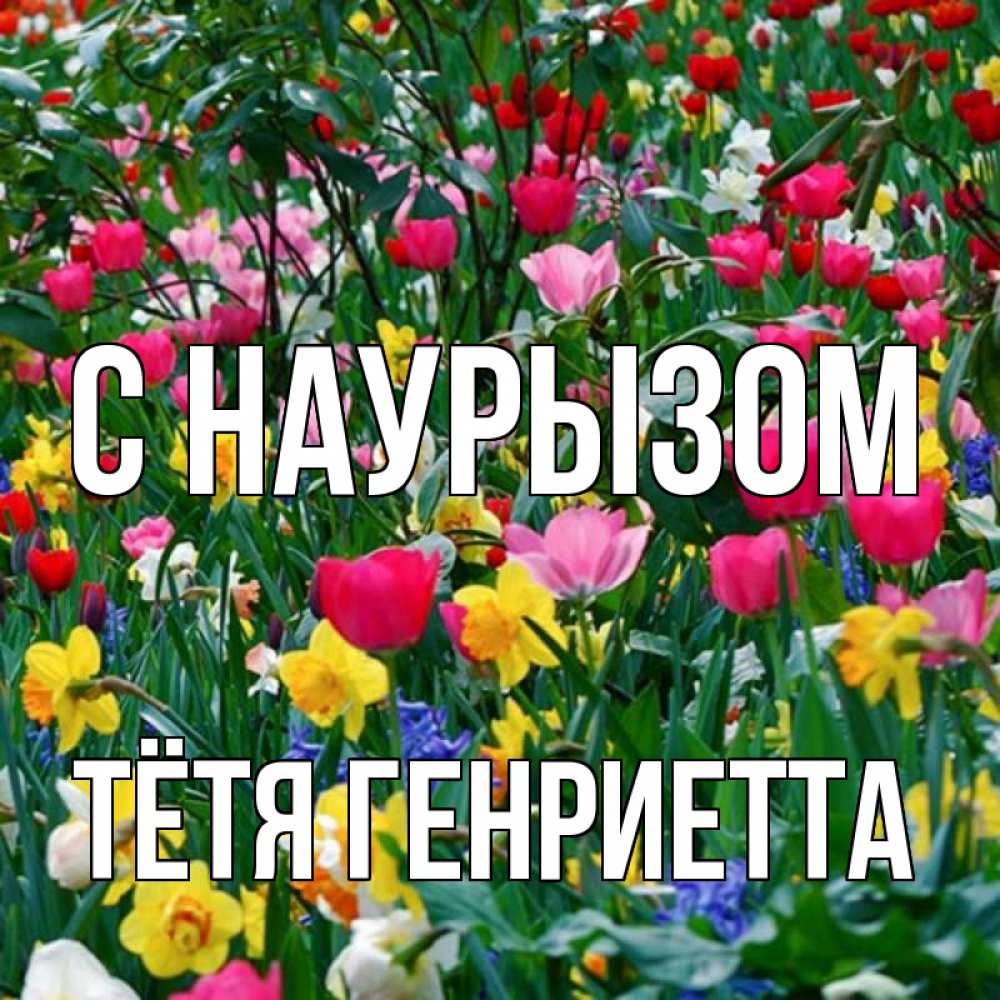 Открытка на каждый день с именем, Тётя-Генриетта С наурызом с наурызом праздником весны поздравления для женщины Прикольная открытка с пожеланием онлайн скачать бесплатно 