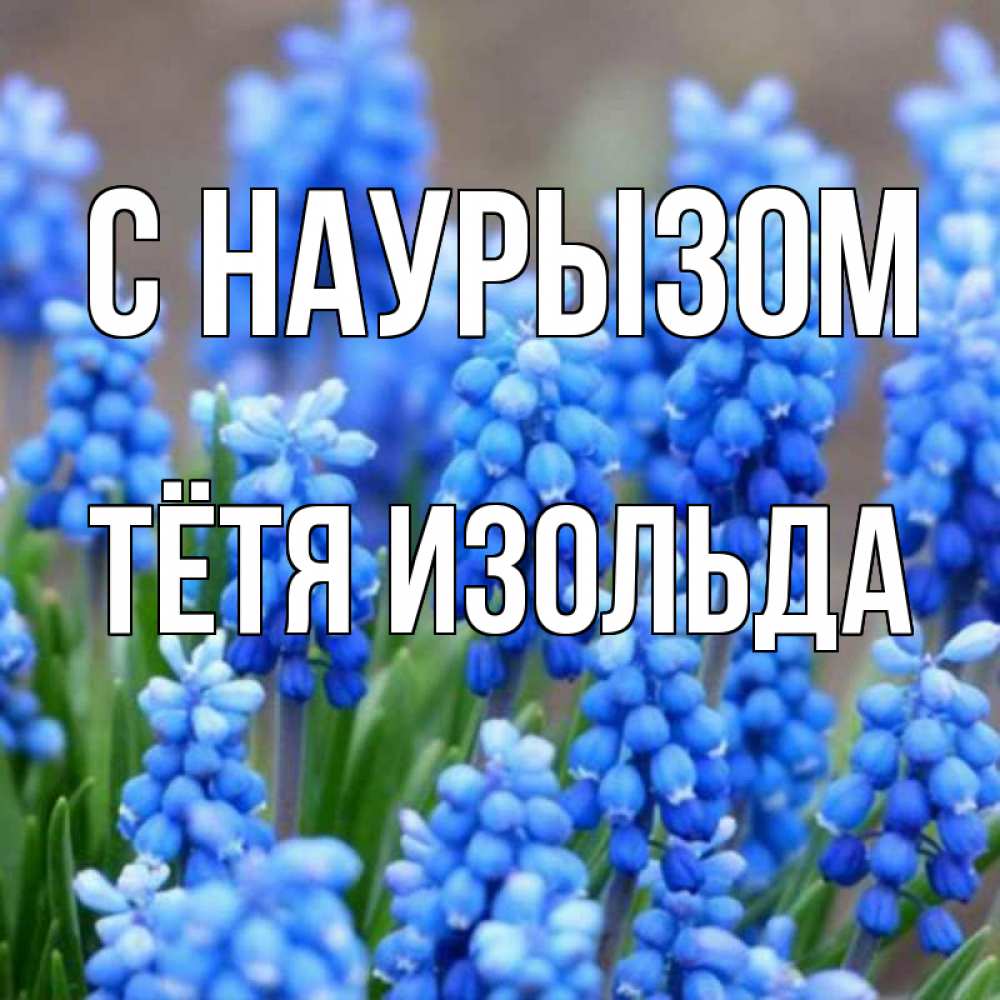Открытка на каждый день с именем, Тётя-Изольда С наурызом Поздравительная открытка для женщин с цветами на праздничную дату Прикольная открытка с пожеланием онлайн скачать бесплатно 