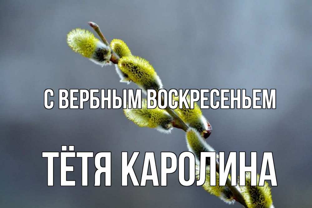 Открытка на каждый день с именем, Тётя-Каролина С вербным воскресеньем верба Прикольная открытка с пожеланием онлайн скачать бесплатно 