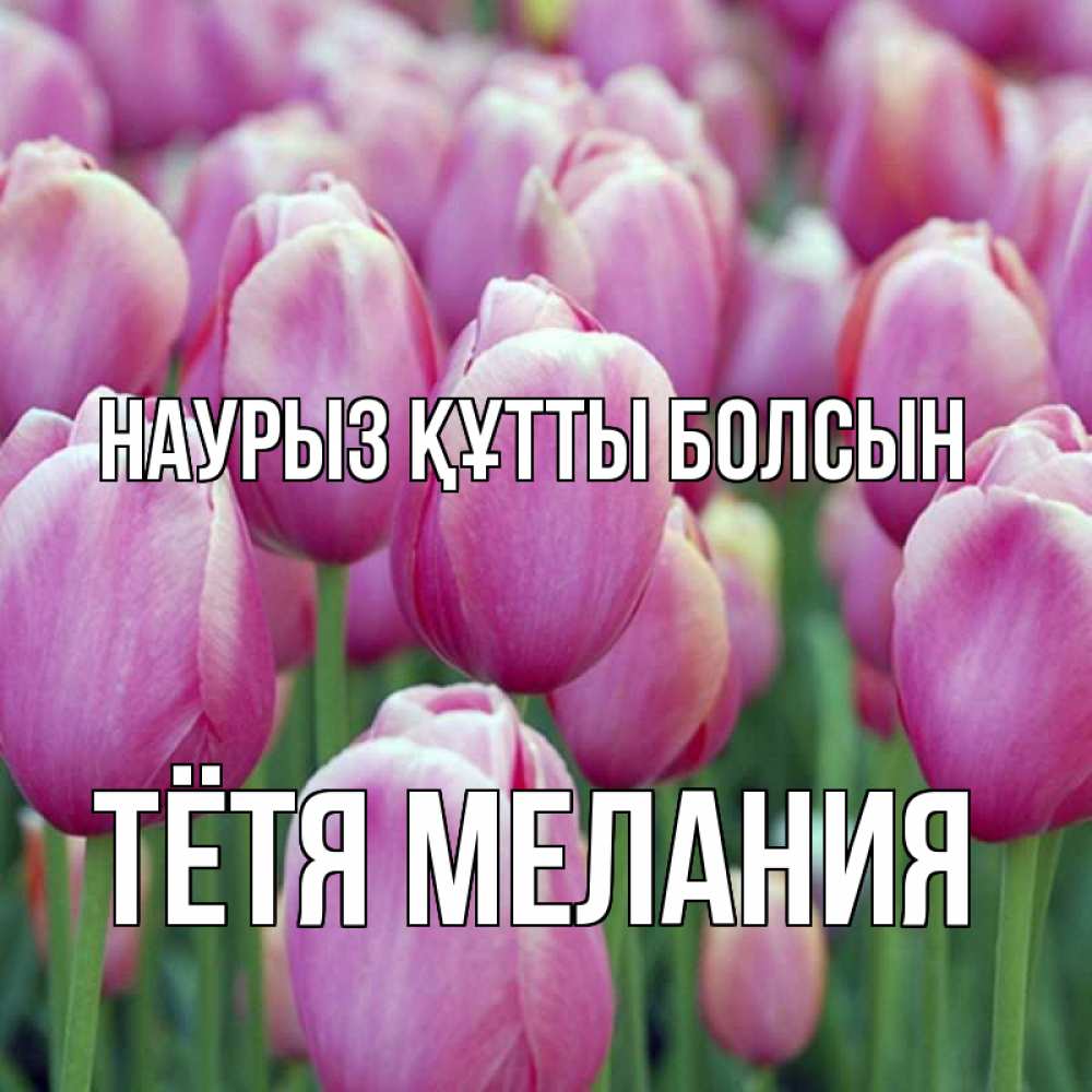 Открытка на каждый день с именем, Тётя-Мелания Наурыз құтты болсын на наурыз  день 3 Прикольная открытка с пожеланием онлайн скачать бесплатно 