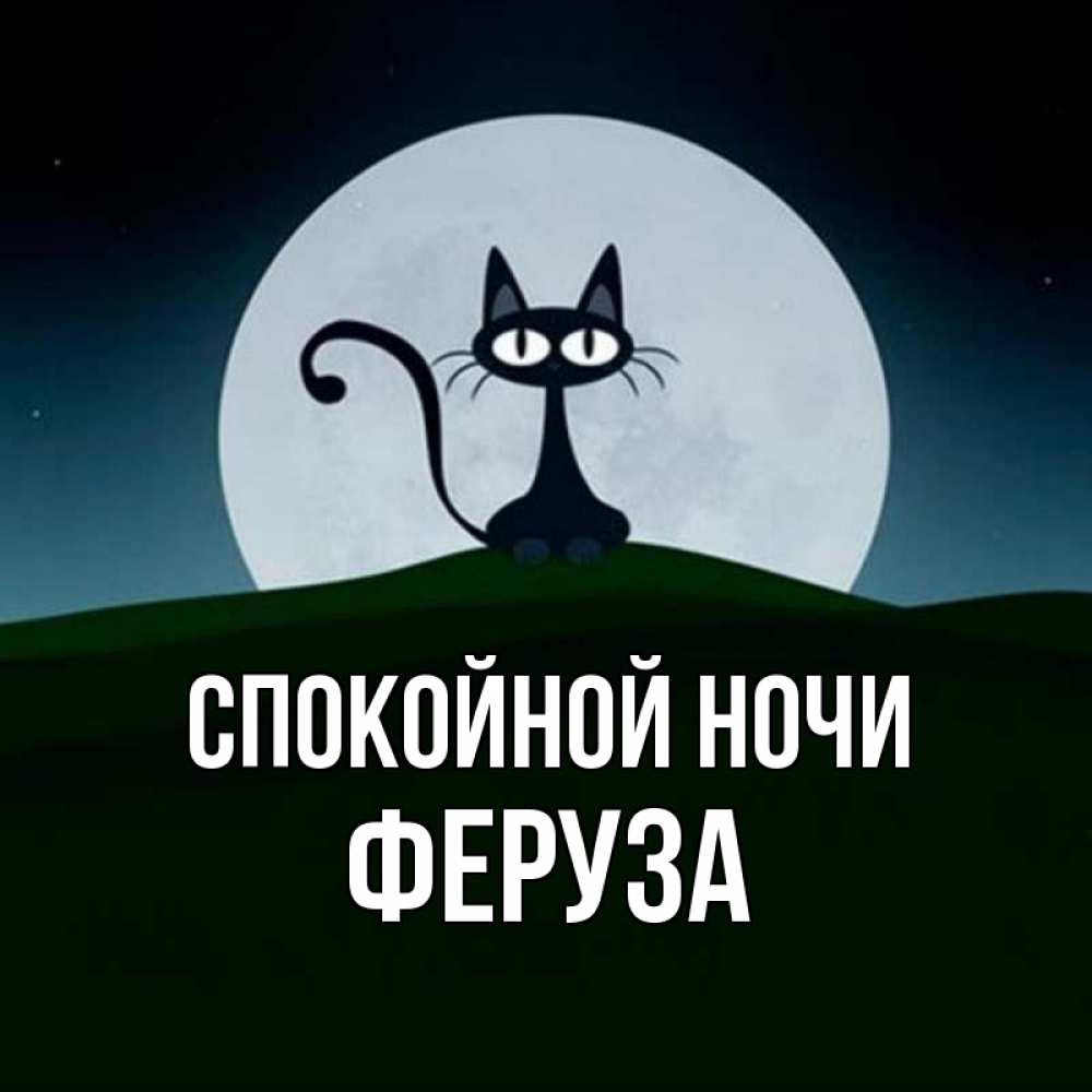 Открытка на каждый день с именем, Феруза Спокойной ночи хорошо выспаться ночью и без кошмаров Прикольная открытка с пожеланием онлайн скачать бесплатно 