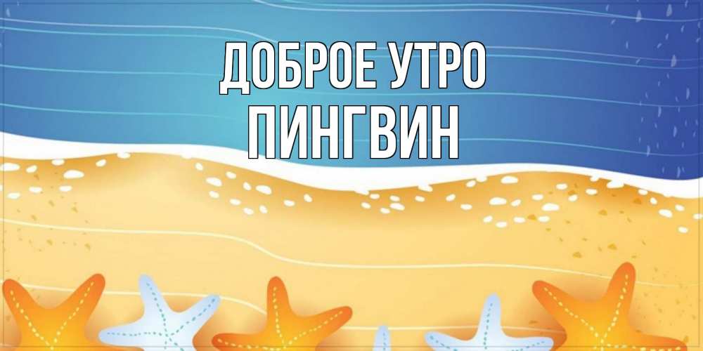 Открытка на каждый день с именем, пингвин Доброе утро красивая морская тема Прикольная открытка с пожеланием онлайн скачать бесплатно 