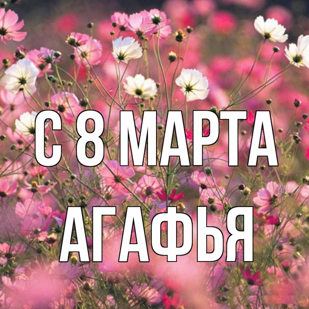 Открытка на каждый день с именем, Агафья С 8 МАРТА красиво 1 Прикольная открытка с пожеланием онлайн скачать бесплатно 