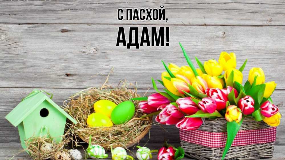 Открытка на каждый день с именем, Адам С пасхой пасха Прикольная открытка с пожеланием онлайн скачать бесплатно 