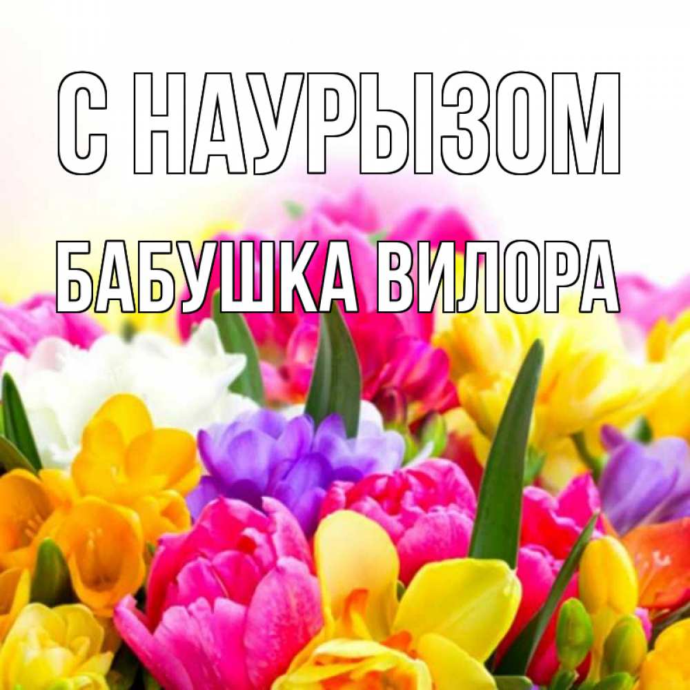 Открытка на каждый день с именем, Бабушка-Вилора С наурызом тюльпаны Прикольная открытка с пожеланием онлайн скачать бесплатно 