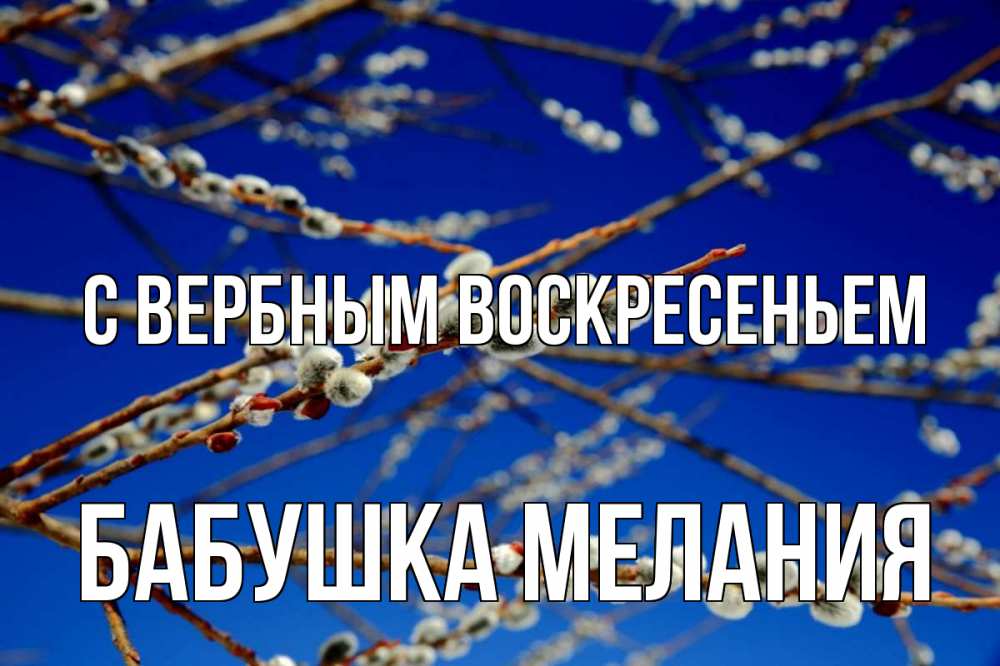 Открытка на каждый день с именем, Бабушка-Мелания С вербным воскресеньем верба Прикольная открытка с пожеланием онлайн скачать бесплатно 