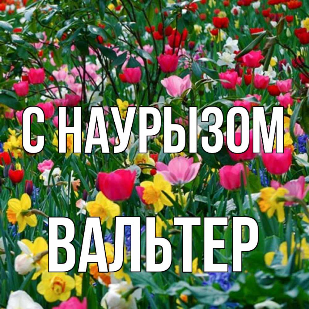 Открытка на каждый день с именем, Вальтер С наурызом с наурызом праздником весны поздравления для женщины Прикольная открытка с пожеланием онлайн скачать бесплатно 