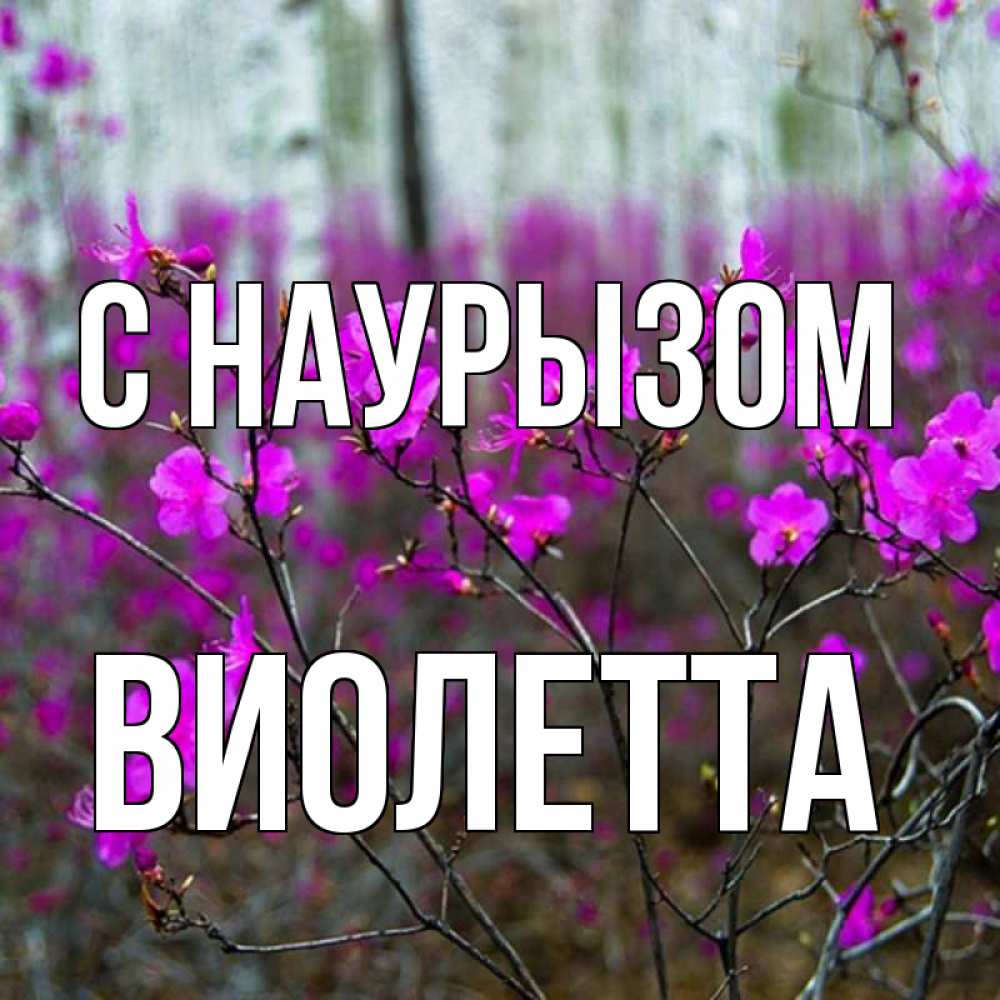 Открытка на каждый день с именем, Виолетта С наурызом дикие цветы Прикольная открытка с пожеланием онлайн скачать бесплатно 