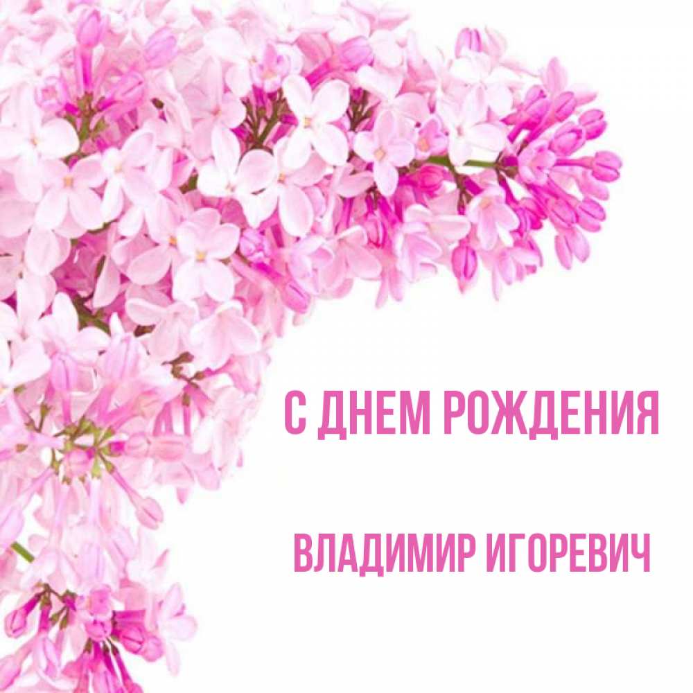 
С Днем Рождения Владимир Петрович Открытка