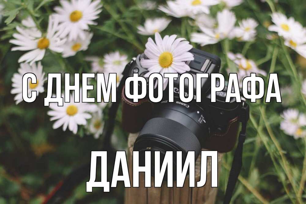 Открытка на каждый день с именем, Даниил С днем фотографа с днем фотографа Прикольная открытка с пожеланием онлайн скачать бесплатно 