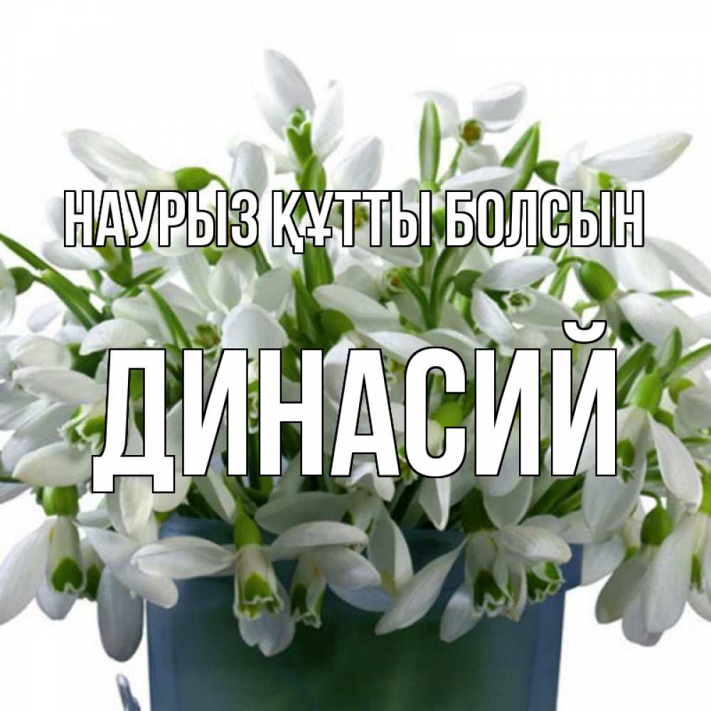 Открытка на каждый день с именем, Динасий Наурыз құтты болсын цветы к наурызу Прикольная открытка с пожеланием онлайн скачать бесплатно 
