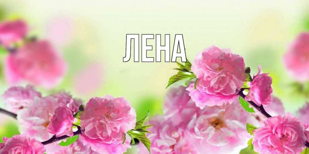 Открытка на каждый день с именем, Лена Главная веточки с цветками Прикольная открытка с пожеланием онлайн скачать бесплатно 