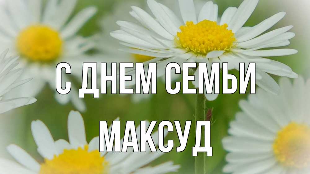 Открытка на каждый день с именем, Максуд С днем семьи с днем семьи  1 Прикольная открытка с пожеланием онлайн скачать бесплатно 