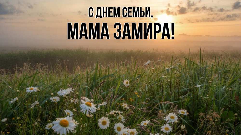 Открытка на каждый день с именем, Мама-Замира С днем семьи с днем семьи Прикольная открытка с пожеланием онлайн скачать бесплатно 