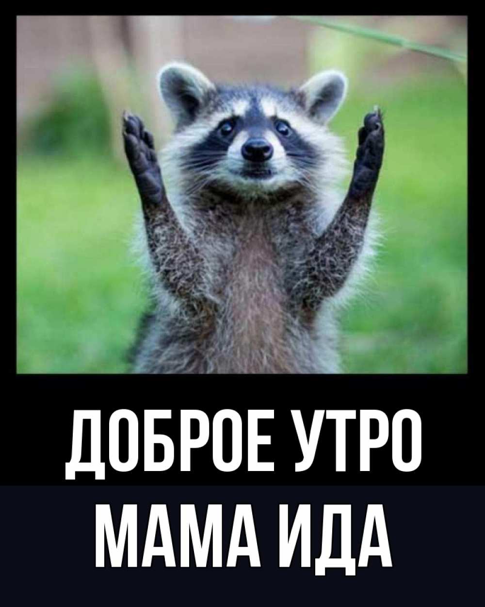 Открытка на каждый день с именем, Мама-Ида Доброе утро хорошее настроение утречком Прикольная открытка с пожеланием онлайн скачать бесплатно 