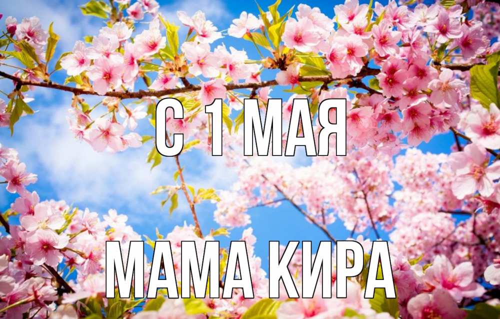 Открытка на каждый день с именем, Мама-Кира С 1 мая С 1 мая Прикольная открытка с пожеланием онлайн скачать бесплатно 