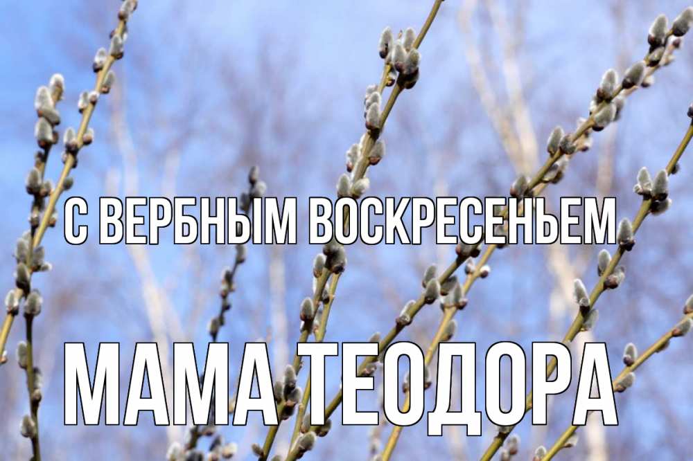 Открытка на каждый день с именем, Мама-Теодора С вербным воскресеньем верба Прикольная открытка с пожеланием онлайн скачать бесплатно 