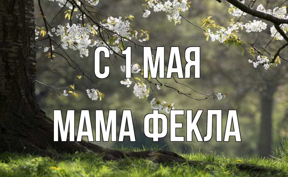Открытка на каждый день с именем, Мама-Фекла С 1 мая С 1 мая Прикольная открытка с пожеланием онлайн скачать бесплатно 