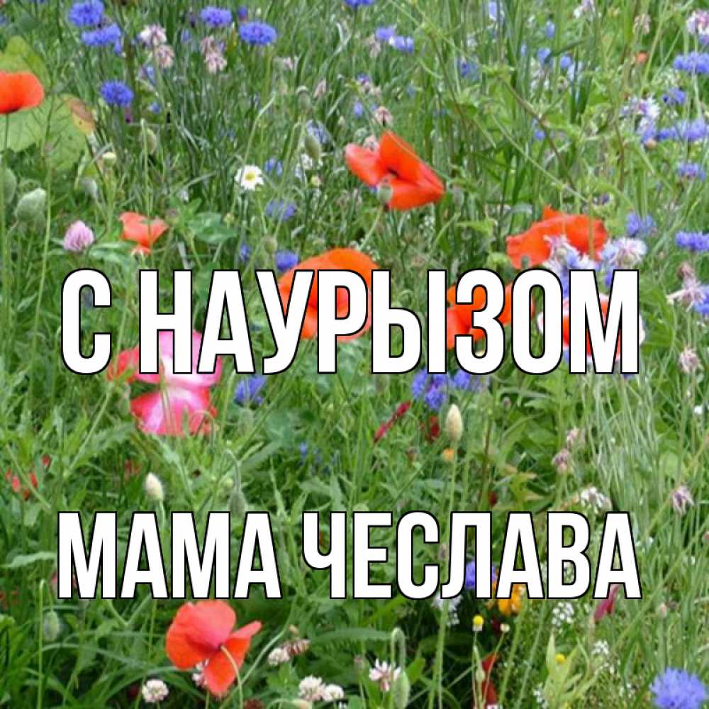 Открытка на каждый день с именем, Мама-Чеслава С наурызом праздник весны наурыз супер открытка Прикольная открытка с пожеланием онлайн скачать бесплатно 