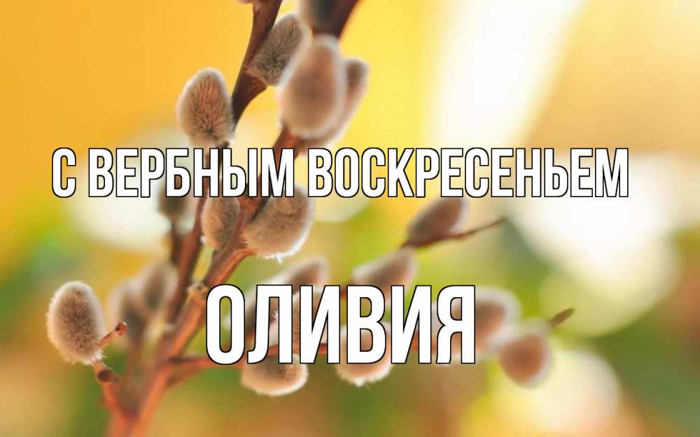 Открытка на каждый день с именем, Оливия С вербным воскресеньем верба Прикольная открытка с пожеланием онлайн скачать бесплатно 
