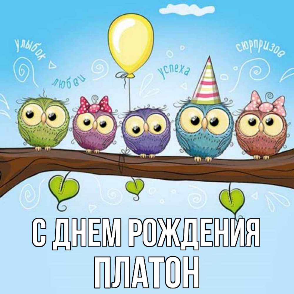 Открытка на каждый день с именем, Платон С днем рождения совы Прикольная открытка с пожеланием онлайн скачать бесплатно 