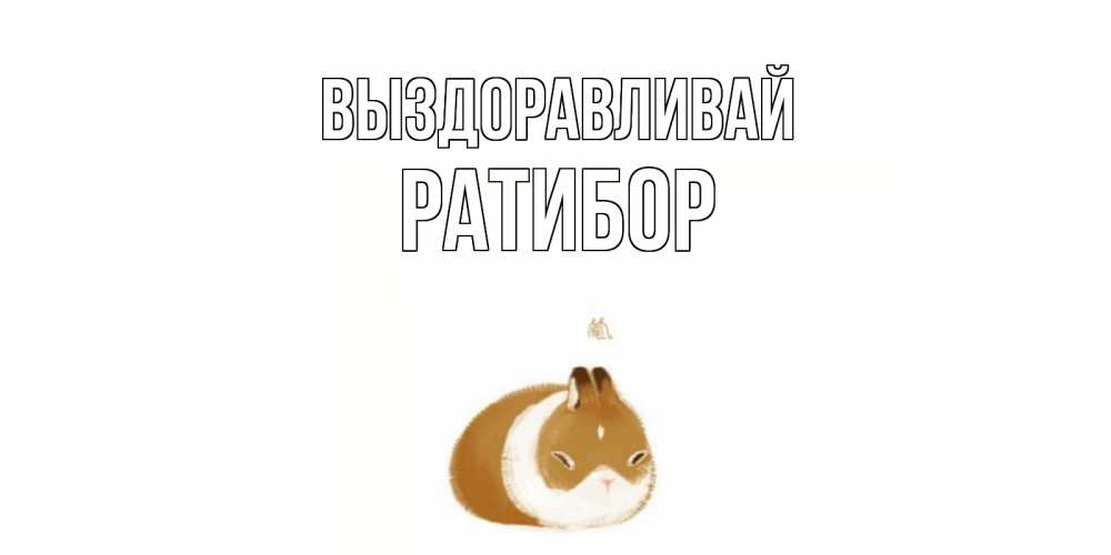 Открытка на каждый день с именем, Ратибор Выздоравливай морская свинка на открытке с пожеланиями не болеть Прикольная открытка с пожеланием онлайн скачать бесплатно 