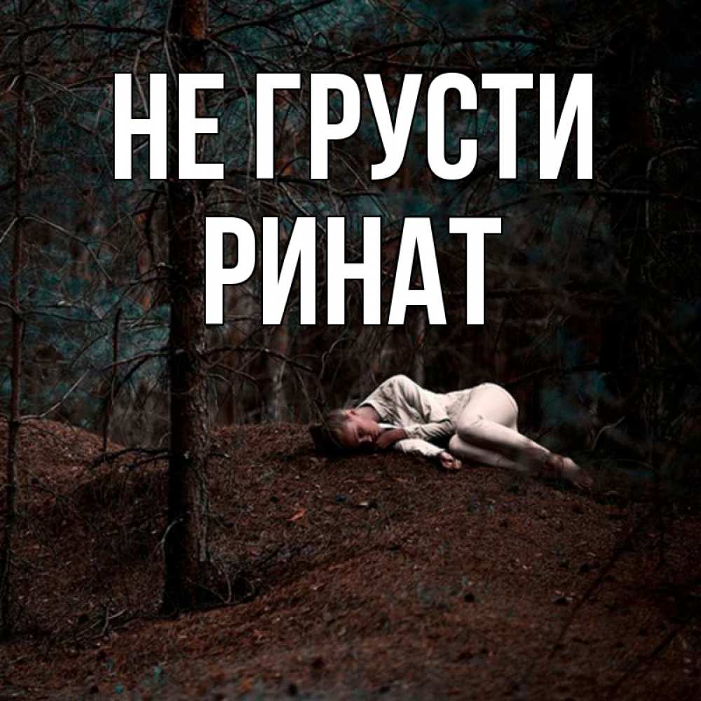 Открытка на каждый день с именем, Ринат Не грусти лес Прикольная открытка с пожеланием онлайн скачать бесплатно 