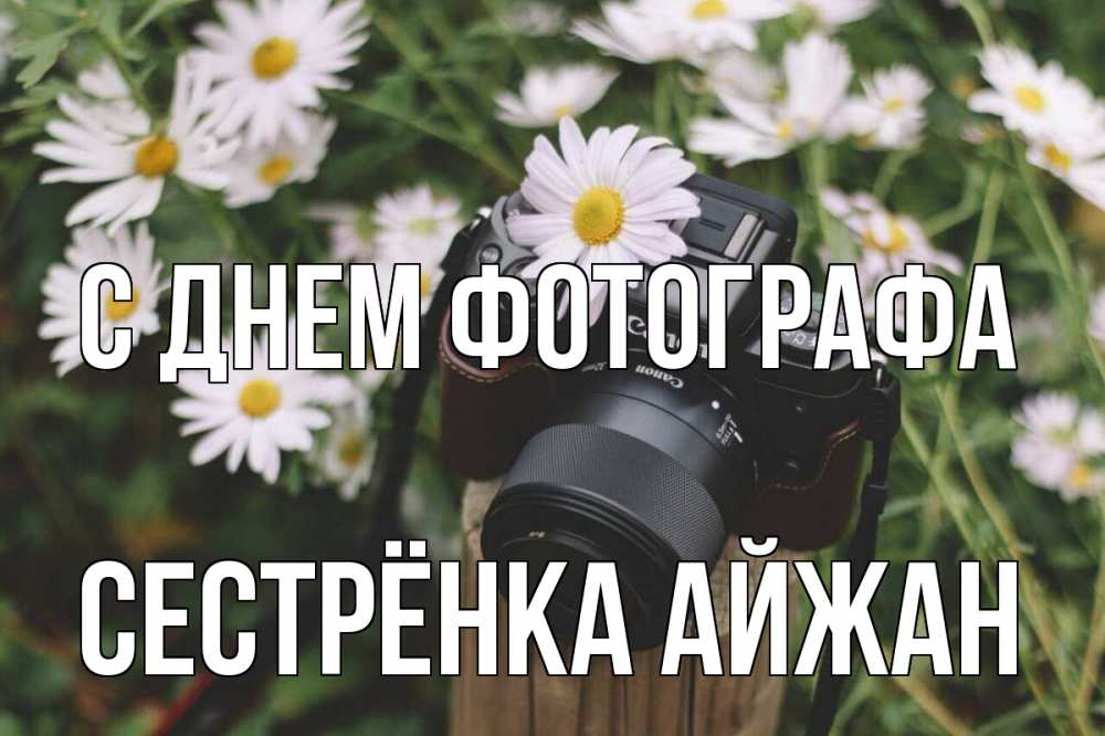 Открытка на каждый день с именем, Сестрёнка-Айжан С днем фотографа с днем фотографа Прикольная открытка с пожеланием онлайн скачать бесплатно 