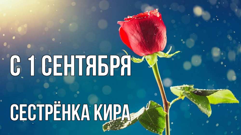 Открытка на каждый день с именем, Сестрёнка-Кира С 1 сентября с днем знаний Прикольная открытка с пожеланием онлайн скачать бесплатно 