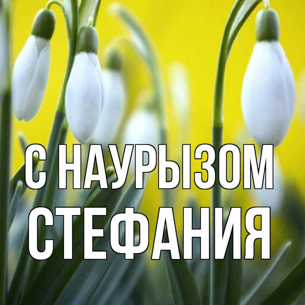 Открытка на каждый день с именем, Стефания С наурызом весенние цветы Прикольная открытка с пожеланием онлайн скачать бесплатно 