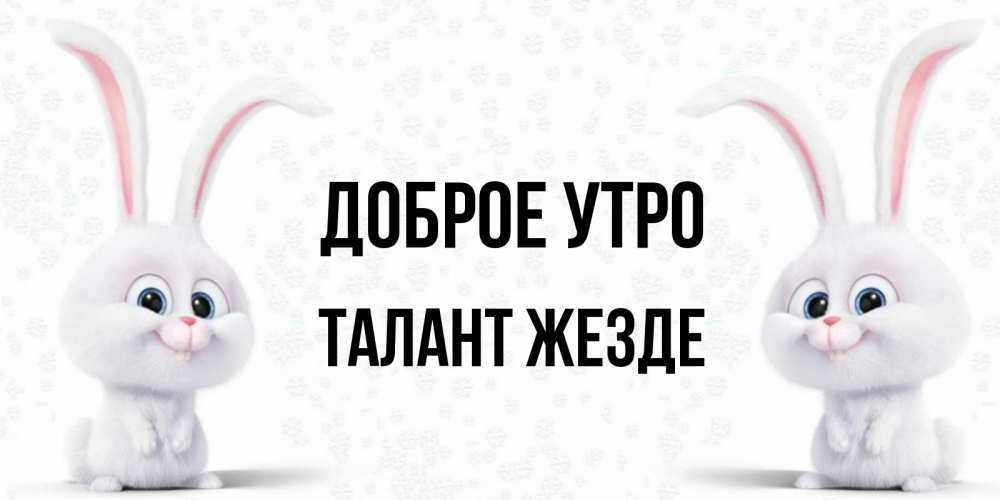 Открытка на каждый день с именем, Талант-жезде Доброе утро кролики с длинными ушками Прикольная открытка с пожеланием онлайн скачать бесплатно 