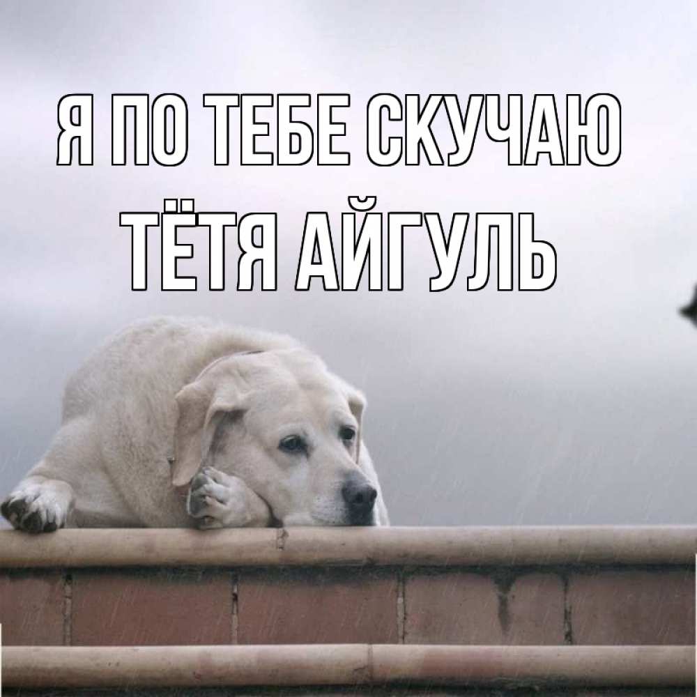 Открытка на каждый день с именем, Тётя-Айгуль Я по тебе скучаю ждет Прикольная открытка с пожеланием онлайн скачать бесплатно 