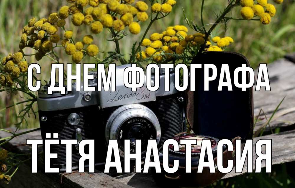 Открытка на каждый день с именем, Тётя-Анастасия С днем фотографа с днем фотографа Прикольная открытка с пожеланием онлайн скачать бесплатно 