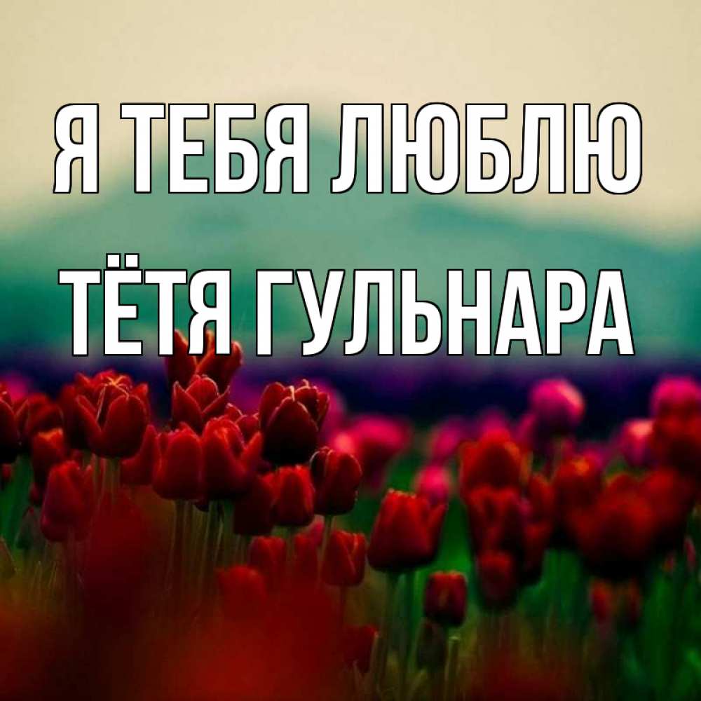 Открытка на каждый день с именем, Тётя-Гульнара Я тебя люблю тюльпаны 4 Прикольная открытка с пожеланием онлайн скачать бесплатно 