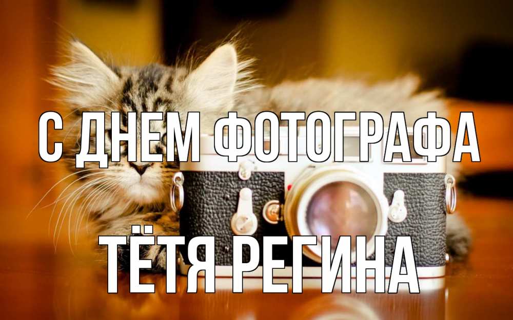 Открытка на каждый день с именем, Тётя-Регина С днем фотографа с днем фотографа Прикольная открытка с пожеланием онлайн скачать бесплатно 