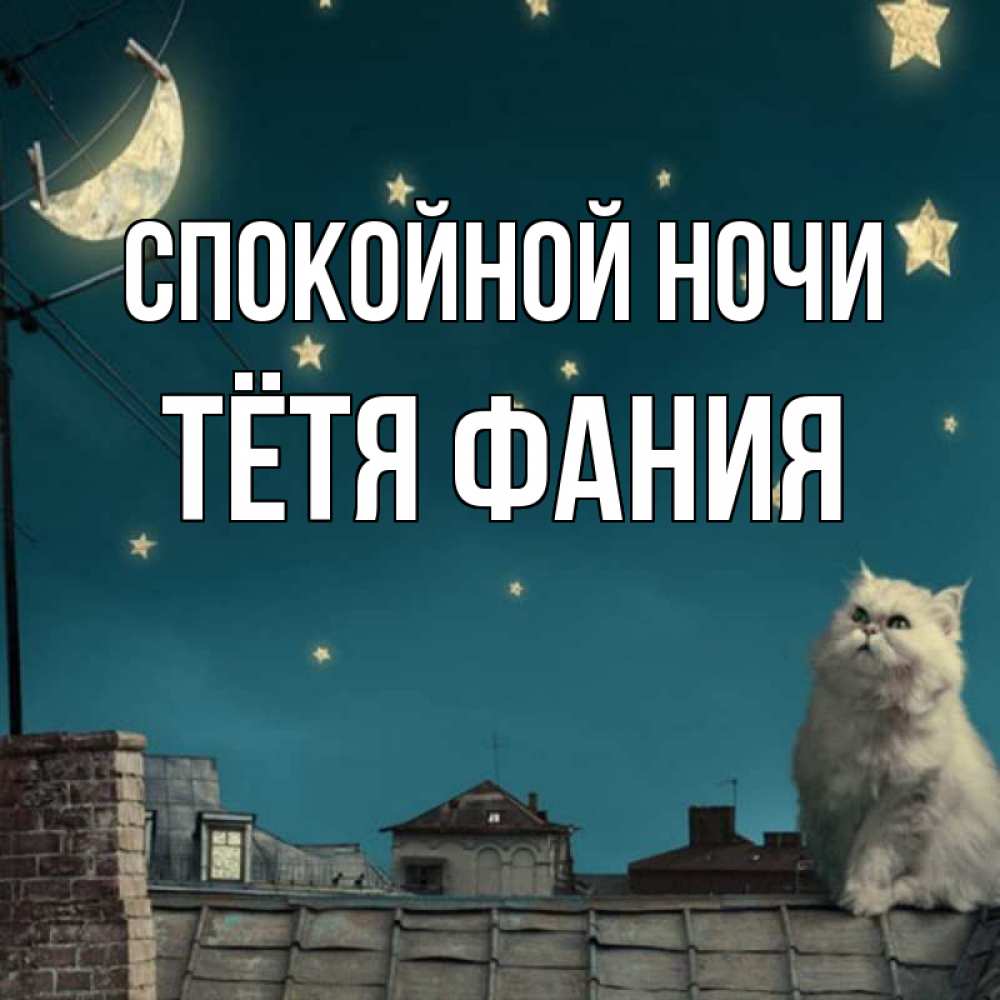 Открытка на каждый день с именем, Тётя-Фания Спокойной ночи белый кот сидит на крыше Прикольная открытка с пожеланием онлайн скачать бесплатно 
