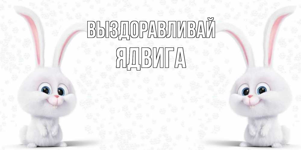 Открытка на каждый день с именем, Ядвига Выздоравливай не болей с зайцем Прикольная открытка с пожеланием онлайн скачать бесплатно 