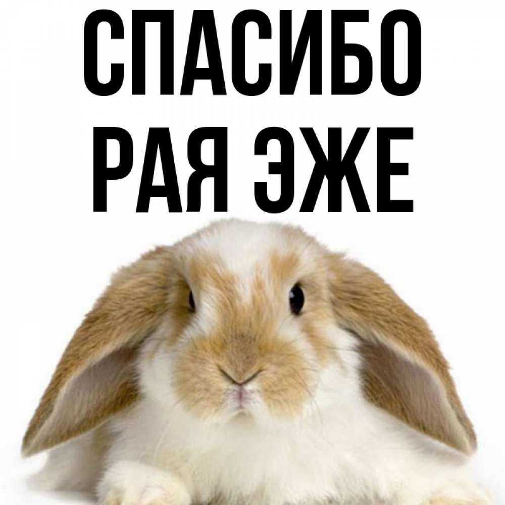 Полное имя рай. Картинки с именем рая. Спасибо рая. Обои с именем рая. Прикольные картинки с именем рая.