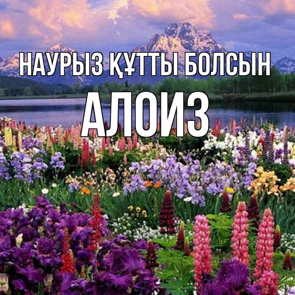 Открытка на каждый день с именем, Алоиз Наурыз құтты болсын наурыз Прикольная открытка с пожеланием онлайн скачать бесплатно 