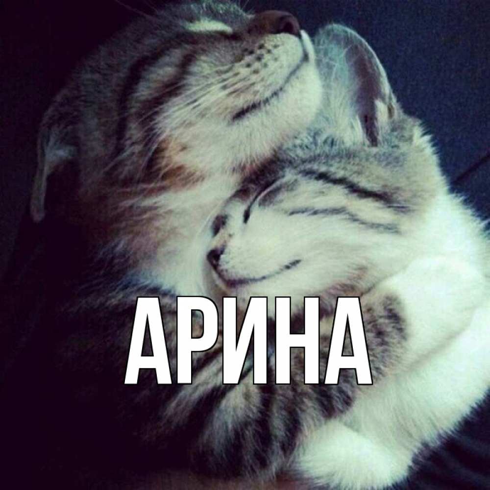 Открытка на каждый день с именем, Арина Главная полосатики Прикольная открытка с пожеланием онлайн скачать бесплатно 