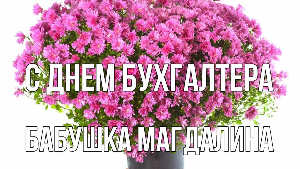 Открытка на каждый день с именем, Бабушка-Магдалина С днем бухгалтера с днем бухгалтера Прикольная открытка с пожеланием онлайн скачать бесплатно 