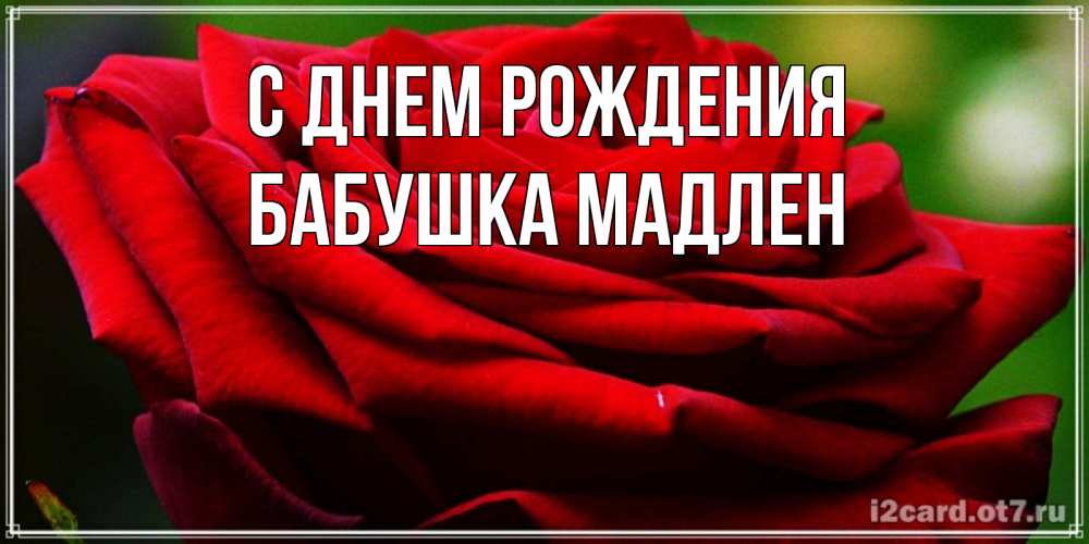 Открытка на каждый день с именем, Бабушка-Мадлен С днем рождения розочка очень красивая Прикольная открытка с пожеланием онлайн скачать бесплатно 
