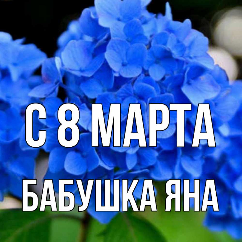 Открытка на каждый день с именем, Бабушка-Яна С 8 МАРТА синие цветы Прикольная открытка с пожеланием онлайн скачать бесплатно 