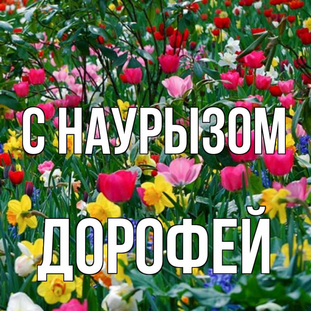 Открытка на каждый день с именем, Дорофей С наурызом с наурызом праздником весны поздравления для женщины Прикольная открытка с пожеланием онлайн скачать бесплатно 